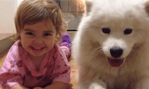 心靈開始營養不良？請乾了這碗雞湯！ 心靈雞湯、勵志、鼓勵、加油、努力