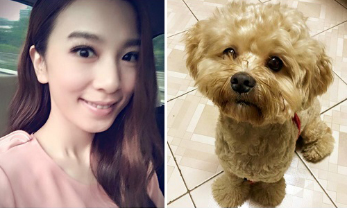 妞快報：Hebe低調樂捐33萬幫助浪浪原因曝光！女神行善不欲人知 妞快報、Hebe、田馥甄、行善、低調