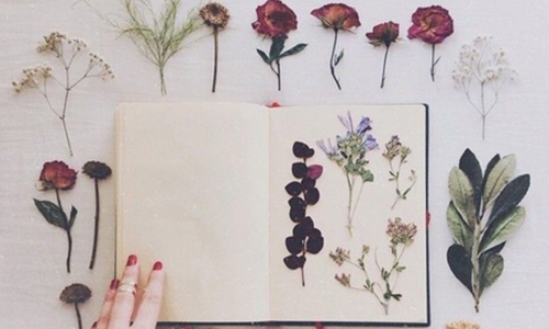 「泡一杯暖茶，在某個陽光燦爛的午後」 如果生活是一首詩...... 生活、人生、快樂、當下、自己