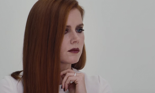 虛實交織的警世預言！《夜行動物》如夢迷離絕美新預告登場