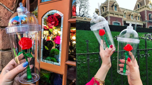 排隊5小時也甘願！一入園就陷入瘋搶的《美女與野獸》魔法紅玫瑰限量隨行杯