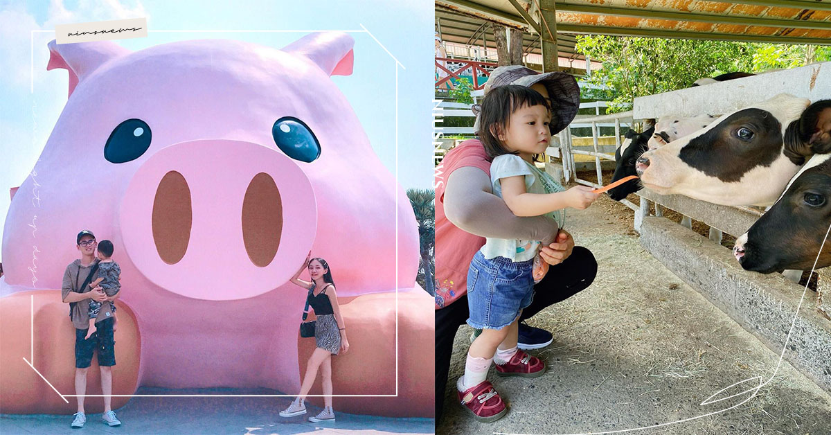 讓寶貝體驗餵食、擠牛奶的樂趣！嘉義3間牧場受歡迎到要人數限制 媽媽妞、親子妞、親子旅遊、嘉義、牧場、農場、酪農、餵食小動物、親子旅遊景點