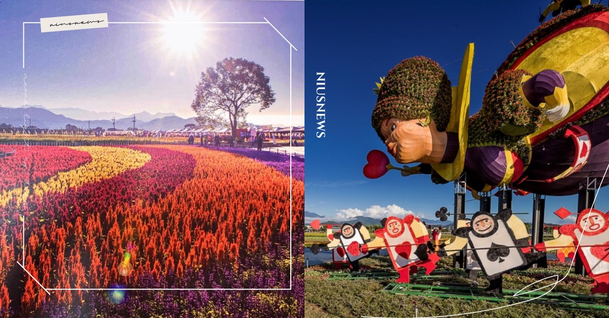 2020新社花海＋台中國際花毯節！紅心皇后搭配七彩花卉，打造愛麗絲的奇幻花境探險 2020新社花海、台中國際花毯節、臺中國際花毯節、愛麗絲的花境探險、紅心皇后