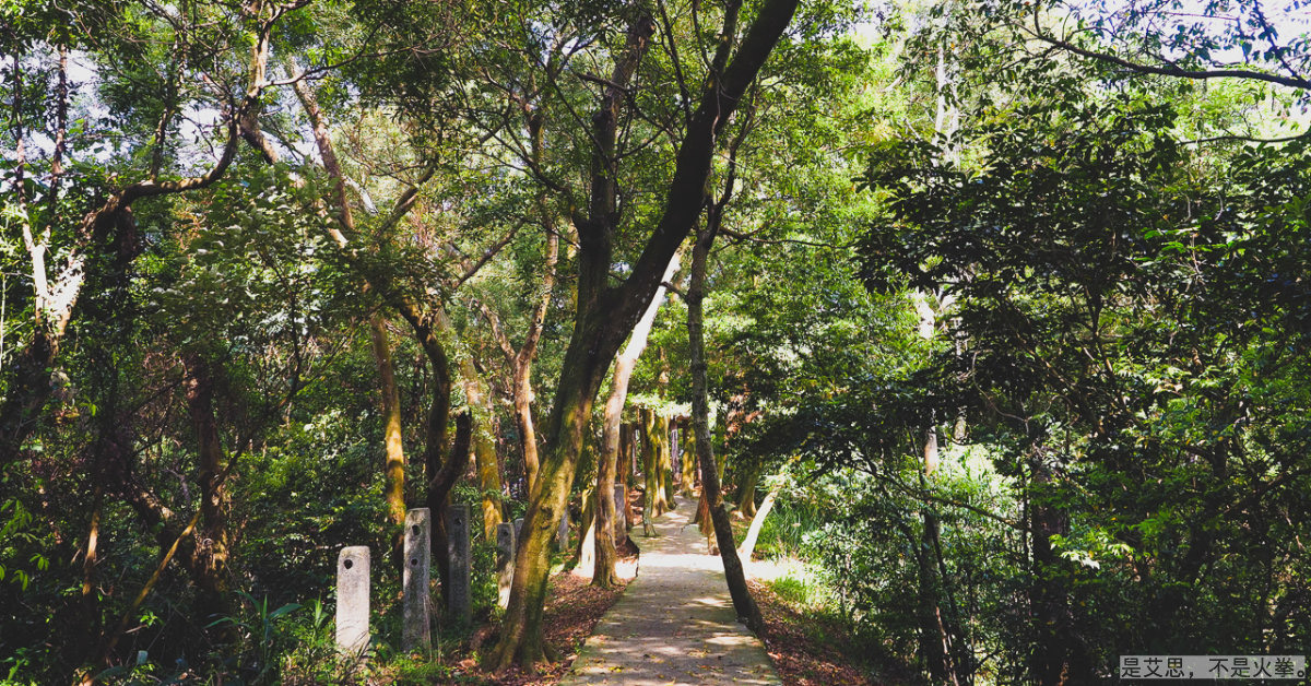 走在幼幼班程度的步道 聽著打靶聲縈繞山中 新北景點、五股景點、新北健行步道、五股健行步道、龍鳳巖