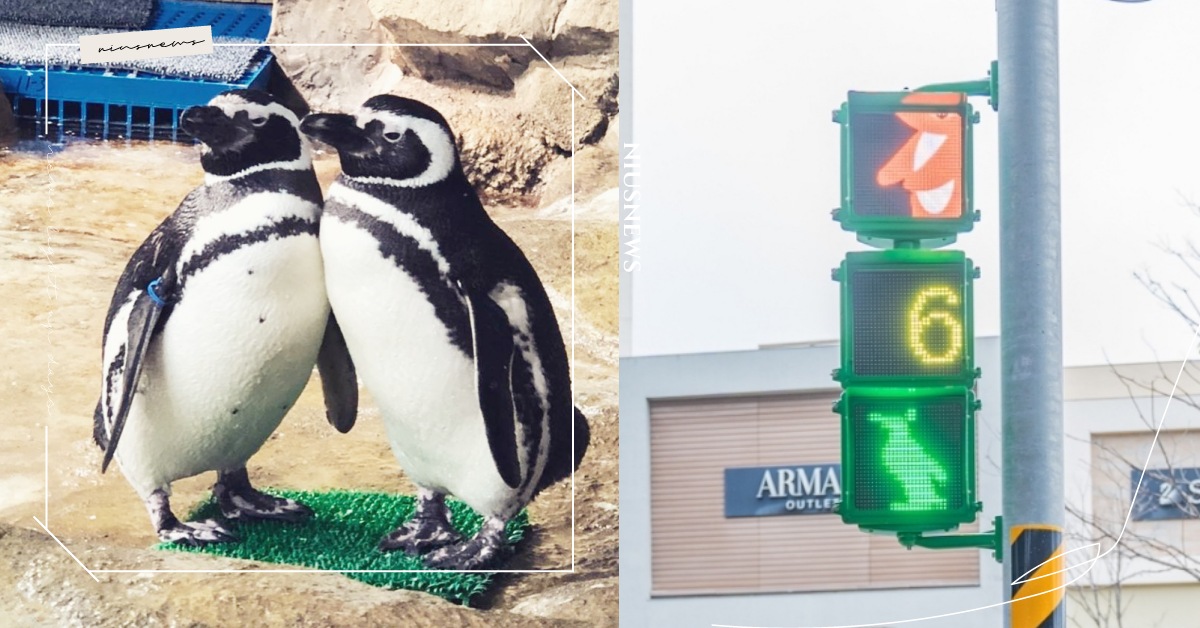 跟著企鵝齊步走！桃園水族館Xpark首創「企鵝紅綠燈」Ｑ萌姿勢指揮交通！ 桃園、水族館、xpark、ar、擴充實境