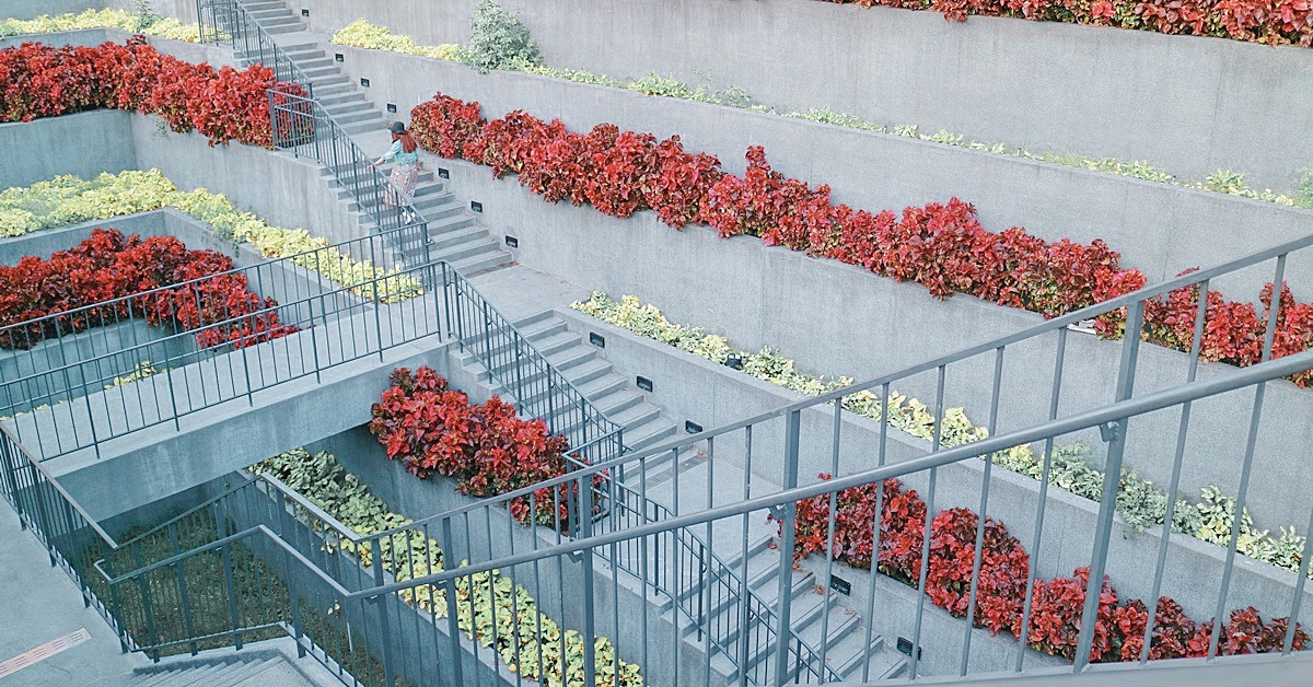 桃園必拍「城市中的秘境」！走下台階進入祕密花園，閨蜜旅行一起探索網美打卡景點 桃園景點、桃園網美打卡景點、桃園打卡景點、桃園一日遊、桃園必拍