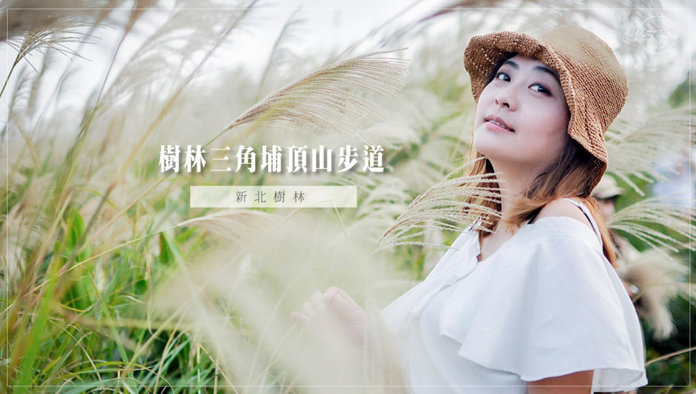 新北景點樹林三角埔頂山芒花秋天限定，網美快拍起來衝一波 三角埔頂山、新北景點、樹林景點、芒草、芒花