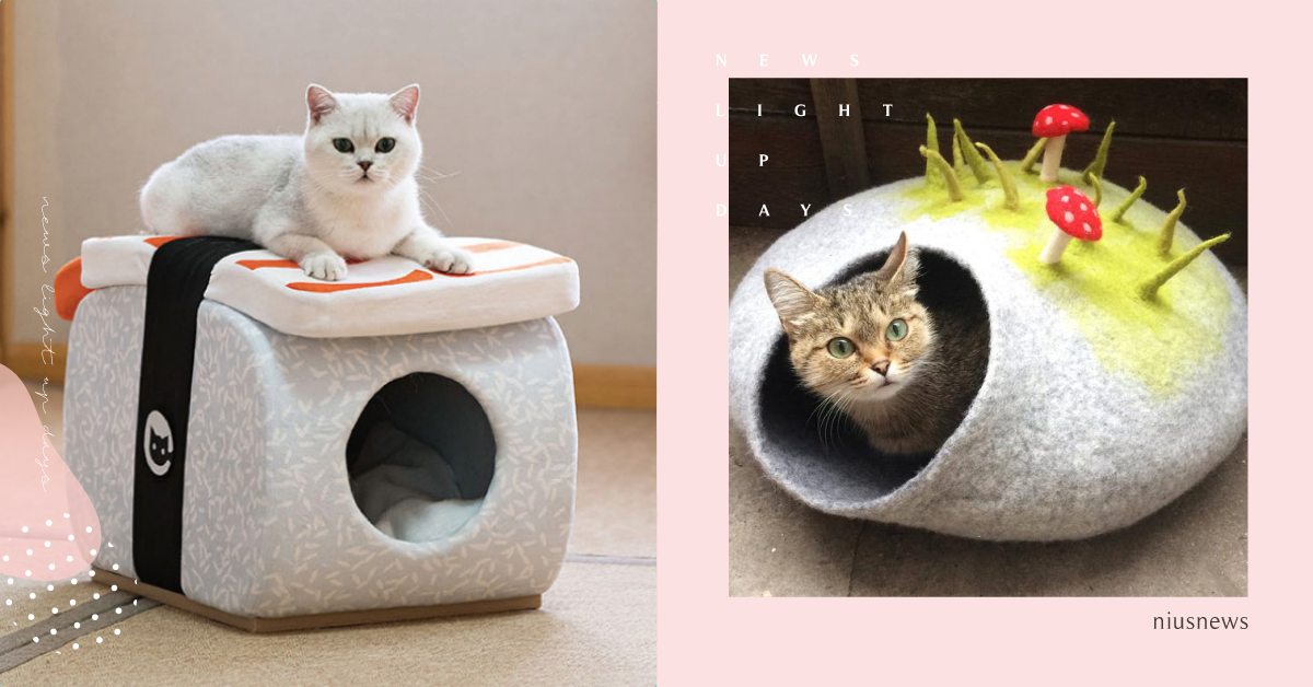 鮭魚握壽司變身貓窩！還原度超高5款寵物床，《哆啦A夢》時光機、大嘴魚毛主人必收 寵物選品、寵物、貓咪、狗狗、喵星人、寵物用品、哆啦A夢、50週年、寵物床、獵奇