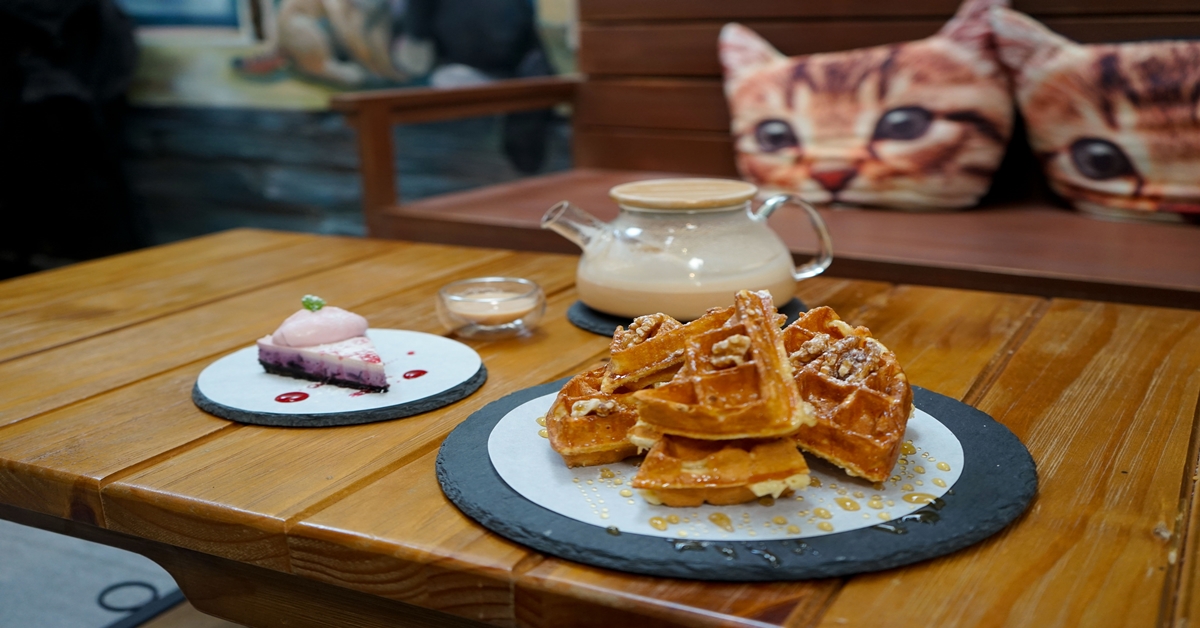 《樹林美食》敘樹咖啡 下午茶 有療癒的貓咪陪著你 樹林美食、樹林下午茶、樹林nana媽