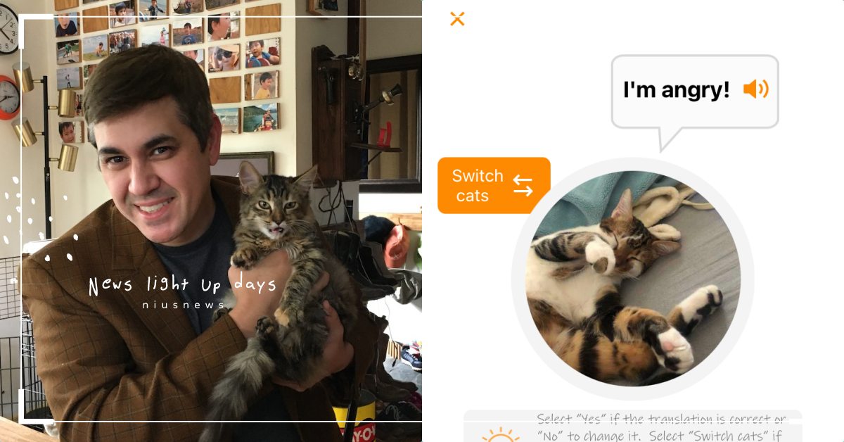 Alexa工程師首創喵喵翻譯App《MeowTalk》！想聽懂貓語不用找寵物溝通 寵物趣聞、APP、貓咪、貓貓、翻譯、寵物、Amazon、Alexa、貓語翻譯機、MeowTalk、鏟屎官