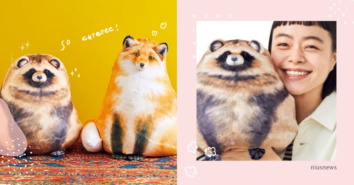 小狐狸變身軟嫩枕頭！日本超萌「動物擬真抱枕」無辜大眼太過分，偷藏小創意必須收編！ YOU+MORE、抱枕、狸貓、狐狸、枕頭、兩用抱枕