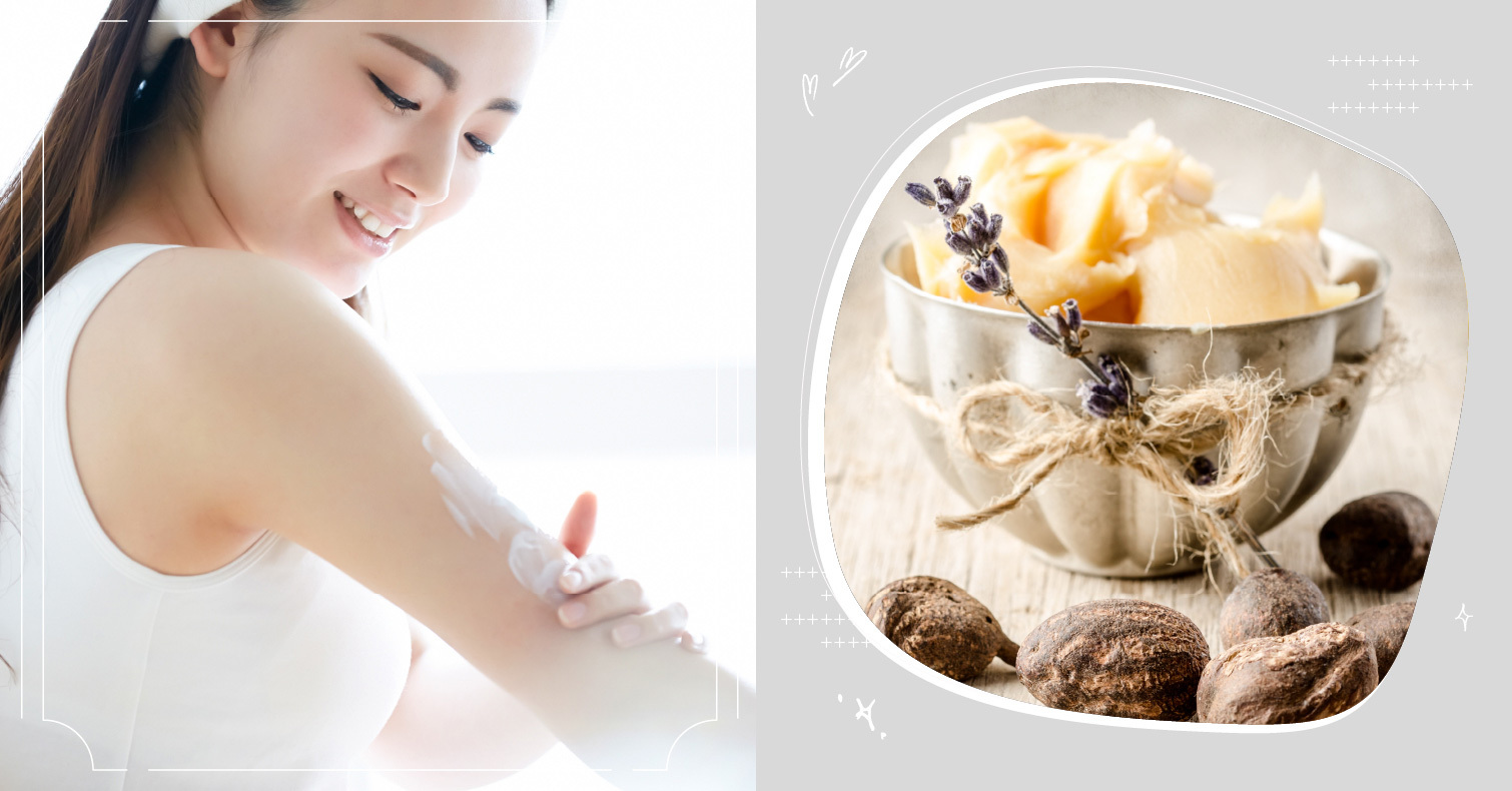 美容專家推薦乳木果油商品12選＆Top5商品｜各種超人氣商品拯救你的乾燥肌！ SAKURA、好物推薦、乳木果油、保濕、護膚