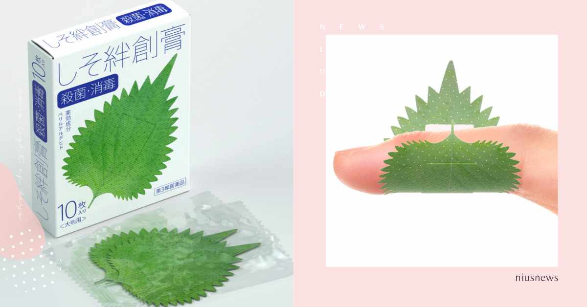 母湯吃啦！紫蘇葉造型OK蹦，逼真到以為手指是麻糬？！ OK繃、紫蘇葉、創意、日本