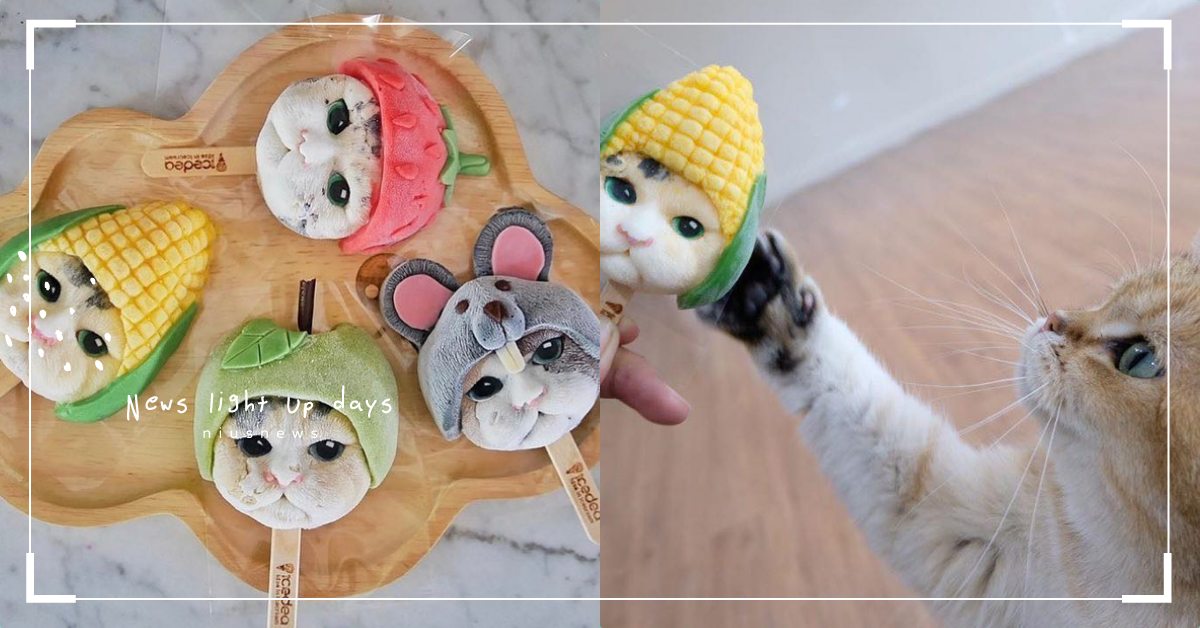 腫抹可以吃貓貓！泰國曼谷「IceDEA」超逼真寵物冰棒，大眼無辜猛盯捨不得吃啦！ 寵物趣聞、泰國、冰棒、曼谷、IceDEA、寵物、寵物冰棒、貓咪