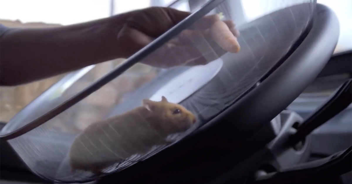 你從沒看過的駕駛員，「小倉鼠」開卡車的挑戰！ 西班牙、volvo、動態轉向系統、惡搞