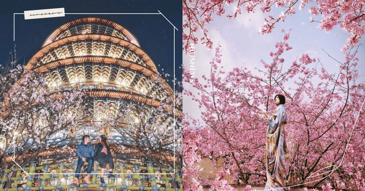 2022櫻花季景點推薦！特蒐全台5大賞櫻圖鑑，開啟一趟浪漫仙境之旅吧！ 櫻花、櫻花季、台灣、北中南、淡水天元宮、內湖樂活夜櫻季、陽明山櫻花巷、平菁街42巷、拉拉山恩愛農場、沐心泉休閒農場、 后里泰安櫻花季