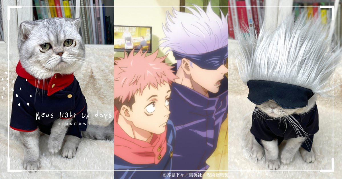 貓貓也能很帥氣！《咒術迴戰》寵物服裝穿上秒變最強咒術師五條悟，眼神髮型都超到位！ 寵物趣聞、毛孩、鬼滅之刃、寵物、Cosplay、Coser、黑死牟、咒術迴戰、呪術廻戦、虎杖悠仁、五條悟、嘴平伊之助、下弦之五、下弦之一