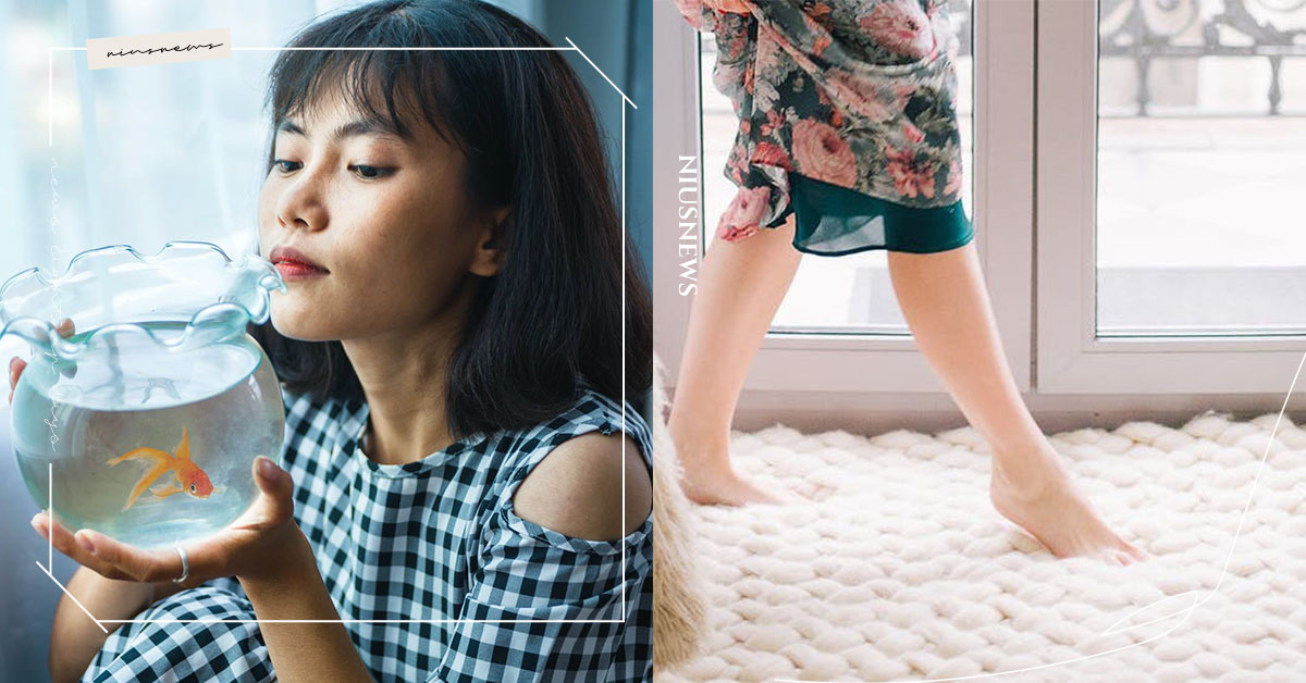 想發財魚缸不能亂擺、買地毯還比較有用！人人都能買到的5種招財小物＆4個迷思 招財、開運、發財、過年、樂透、招財貓、小物、方法、迷思、聚寶盆