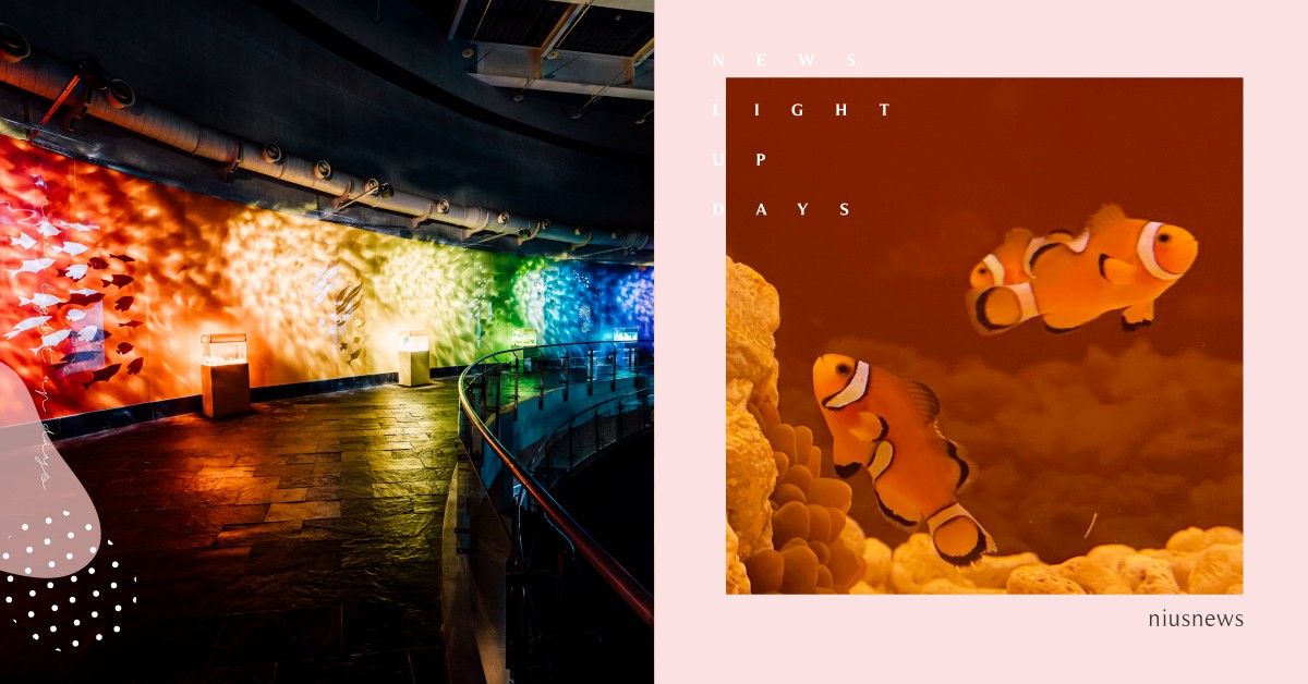 2021必打卡景點「屏東海生館－海洋本色」！繽紛海洋夢幻登場，讓人一秒變網美 屏東海生館、國立海洋生物博物館、海洋本色、2021必打卡景點、屏東景點、網美景點、打卡景點、水族館