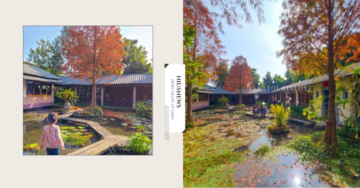 台中隱藏版水上落羽松秘境！在古色古香的農家宅院餐廳饗美食、賞冬季限定美景 落羽松景點、台中餐廳推薦、台中打卡景點、台中景觀餐廳、年節聚餐