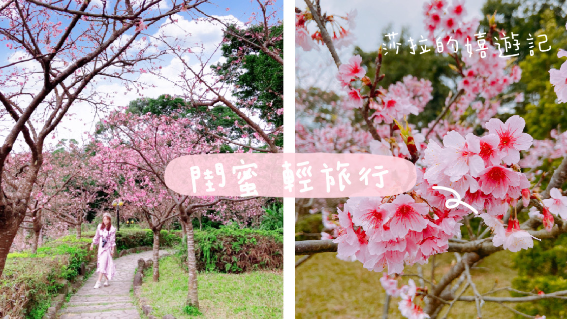 來一場與粉色櫻花的戀愛吧！期待櫻花雨的烏來秘境！閨蜜輕旅行出發吧！！ #櫻花秘境 #輕旅行 #網紅打卡景點