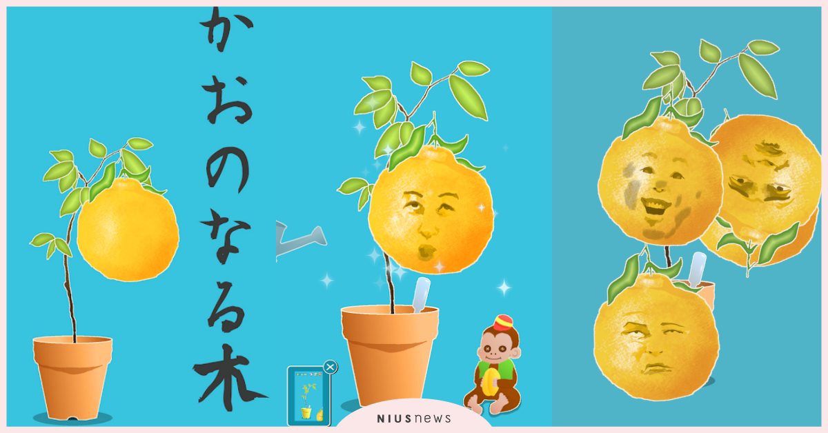 《旅蛙》開發商新作！養成手遊《かおのなる木》超ㄎㄧㄤ種出「有表情的果實」超奇葩 かおのなる木、旅蛙、手遊、奇葩手遊、無網路手遊