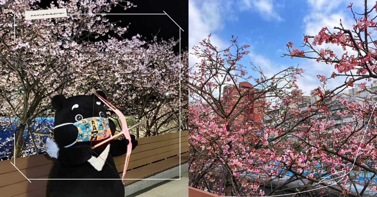 2021內湖樂活夜櫻季開跑！粉絲團推人潮燈號指標，打卡賞花的同時也要避免群聚 2021內湖樂活夜櫻季、賞花人潮情報站、台北市公園處、台北、內湖、櫻花、內湖樂活夜櫻季、東湖、賞櫻、櫻花季、東湖、情人節、台北花海、台北旅遊