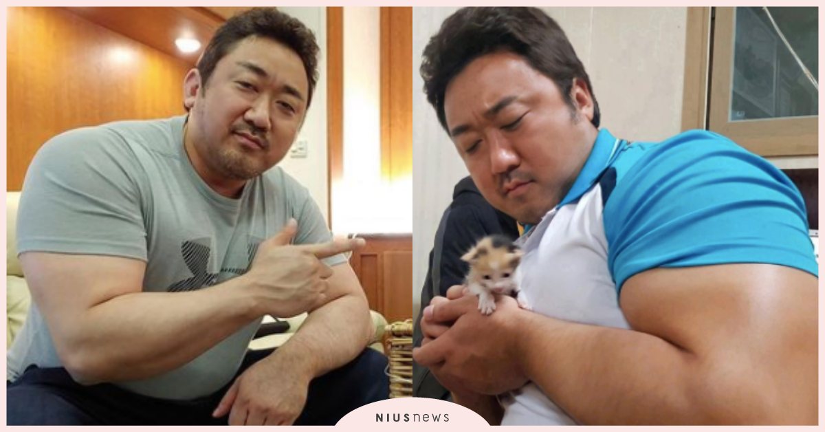 小奶貓怕到模糊！馬東石超巨手臂「比臉大」，合照幼貓網友笑爆：「根本沒看到貓」 馬東石、肌肉、貓