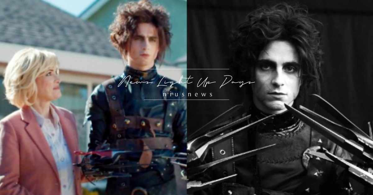 「甜茶」提摩西夏勒梅化身新一代「剪刀手愛德華」，網：敲碗真正的復刻版本！ 甜茶、提摩西夏勒梅、剪刀手愛德華、