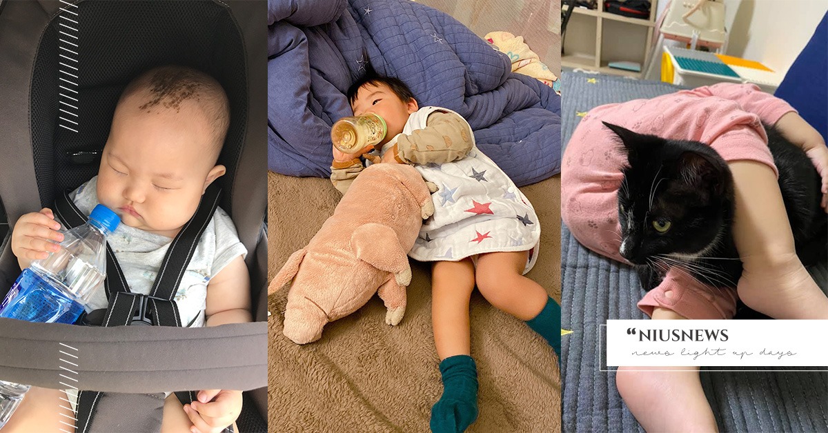 小被被已經不夠看，寶貝最愛寶特瓶、動物玩偶尾巴！小孩的奇奇怪怪安撫物盤點 媽媽妞、親子妞、IKEA玩偶、奶嘴、小被被、安全感、依附、安撫物、嬰兒、玩偶、育兒教養