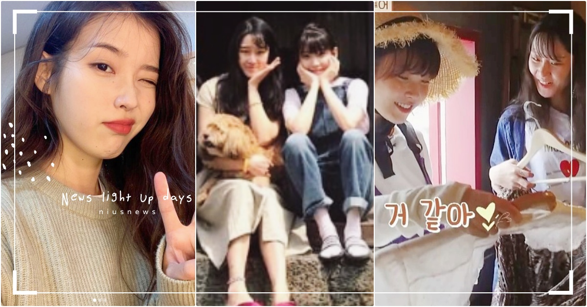 《孝利家民宿》客人開網拍！IU居然「偷偷豪氣下單40萬」，事後知道真相直呼：太暖 《孝利家民宿》、《孝利家民宿》IU、IU善心、韓國模特兒、李知恩、IU朋友、IU韓粽、李孝利