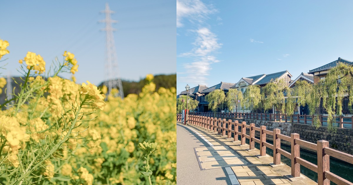 不想再去東京人擠人了嗎？那就來千葉觀光吧！5大千葉精選旅遊景點報給你知！ 