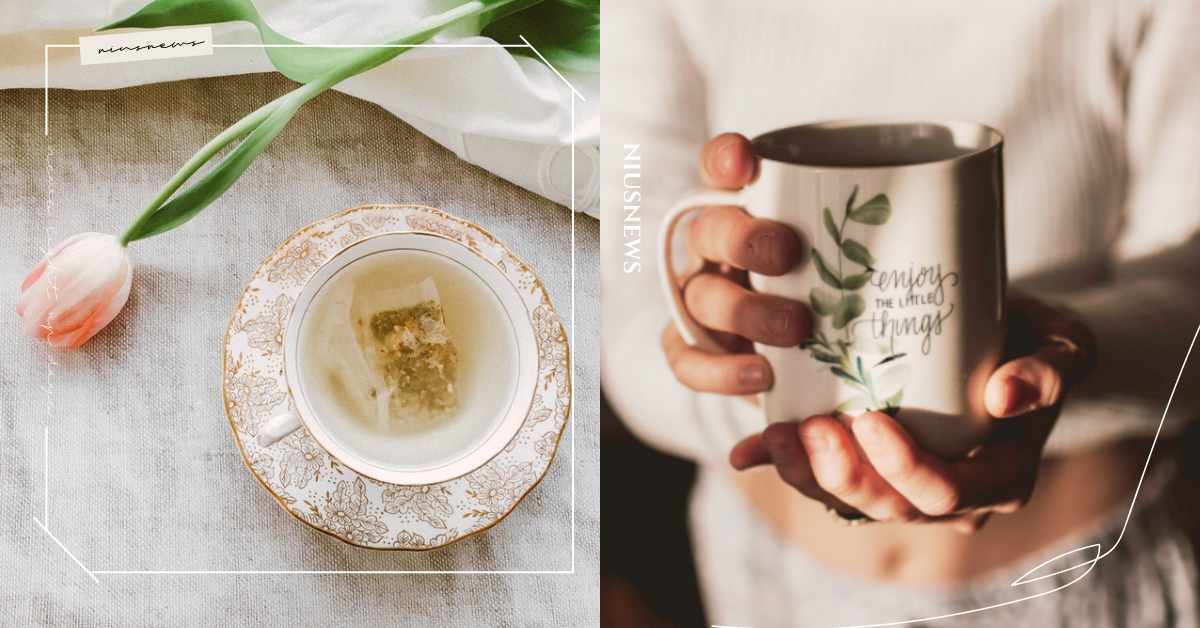 消脂茶怎麼喝？早午晚喝法大不同，年節食慾、體重失控快靠它補救 消脂、消脂茶、早餐茶、按摩