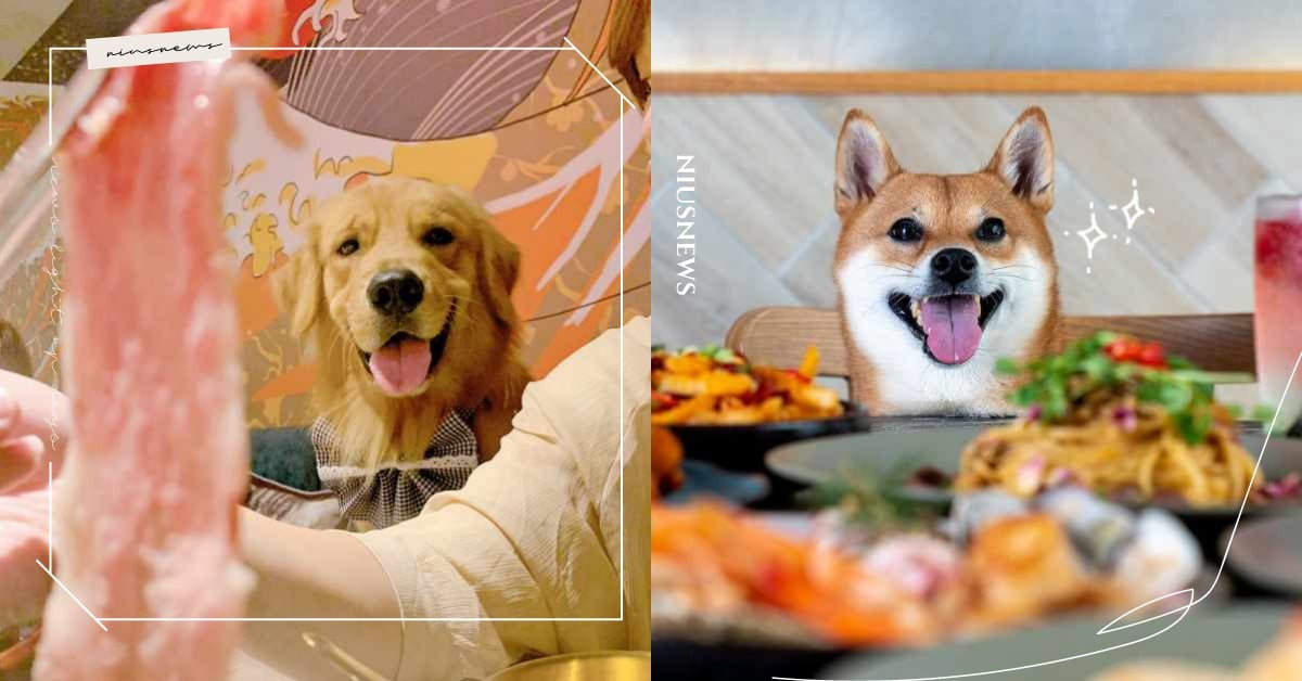 台北8家「寵物友善餐廳」推薦！韓式餐酒館、燒烤、火鍋通通有，寵物餐連主人都想偷吃 寵物吃什麼、寵物出去玩、台北、餐廳、寵物餐