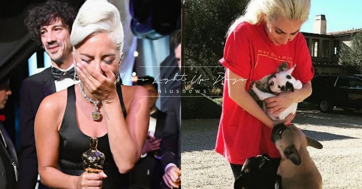 Lady Gaga兩愛犬遭綁架！卡卡急撒「千萬重金」懸賞，網驚：小心殺神復仇！ Lady Gaga、女神卡卡、殺神、約翰維克、基努李維