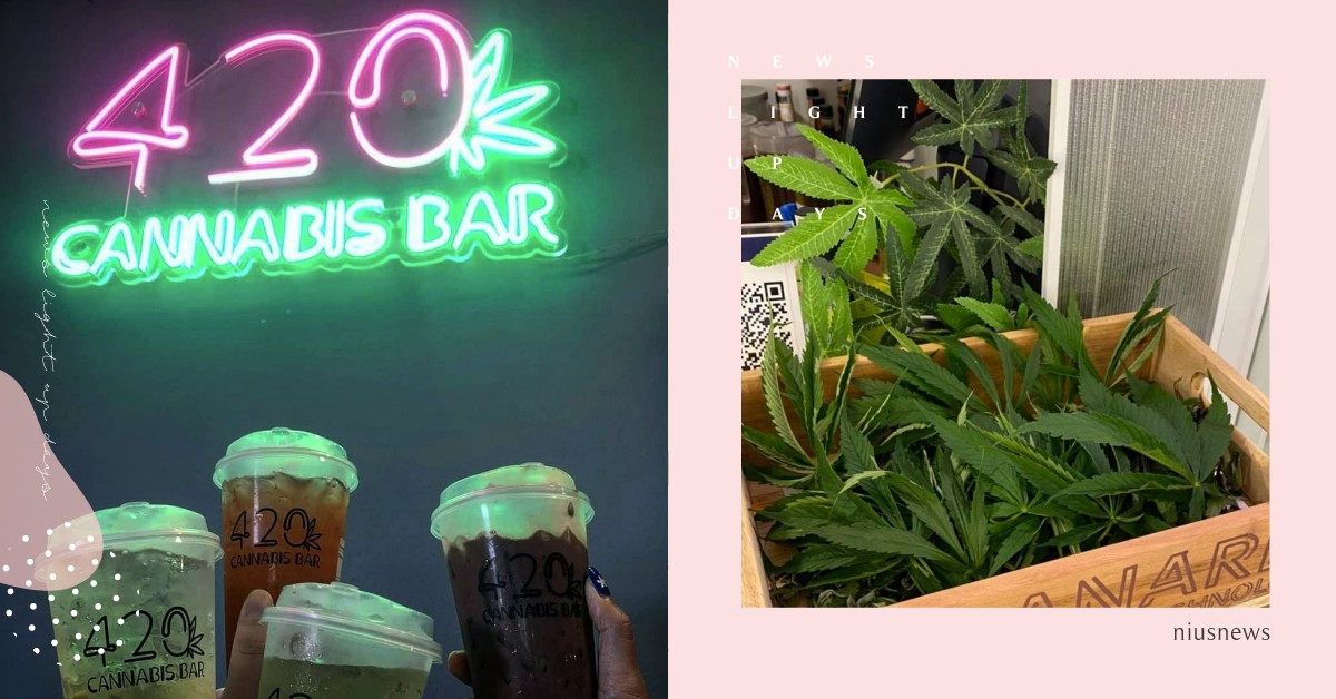 喝完保證嗨？泰國曼谷首家「大麻餐廳」開張！大麻珍奶、CBD布朗尼通通上菜單 420 Cannabis Bar、泰國曼谷、大麻餐廳、大麻飲料店、Yada Gomez