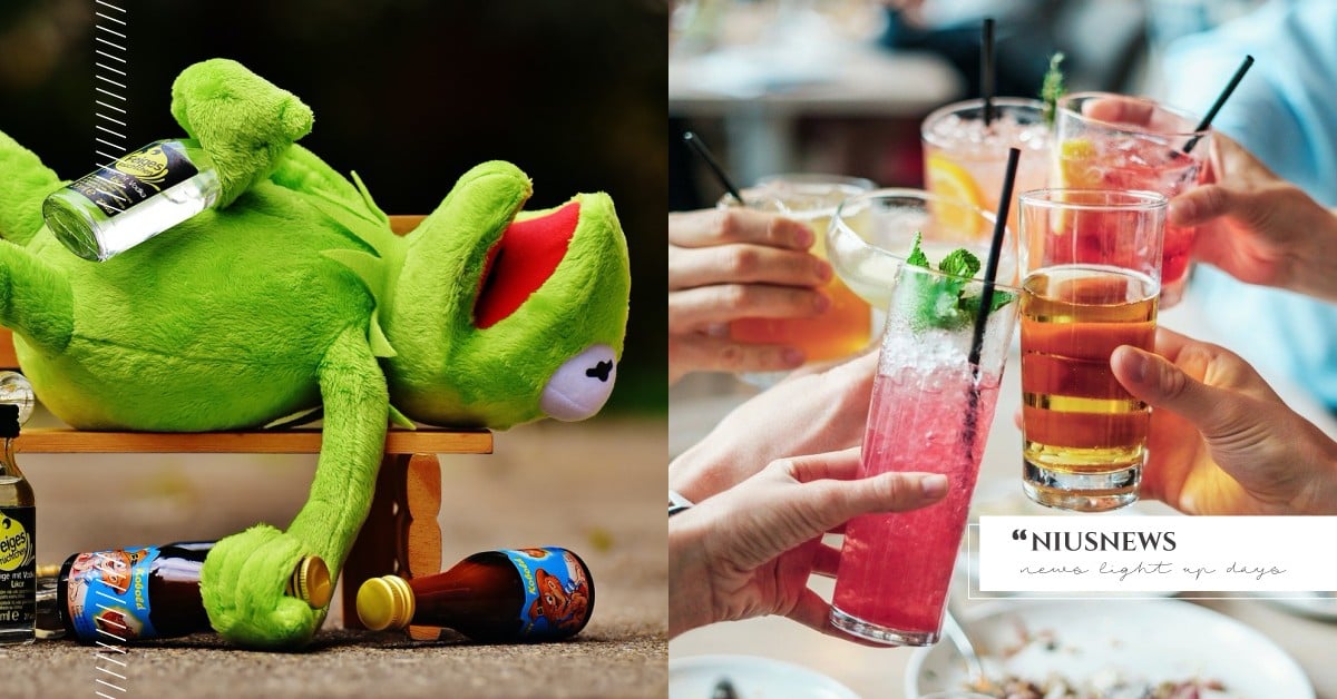 宿醉到底怎麼辦？破解5大對酒的誤解！睡前小酌並不會幫助睡眠、熬夜前可以預防性午睡 理科太太、恩熙俊、理科太太Plus、宿醉、喝酒、誤解、睡前小酌、喝酒的必備知識​