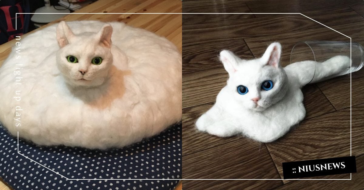 貓奴們敢用嗎？日本網友手作「貓咪掃地機器人」，抬頭喵喵逼真模樣是可怕還可愛？ 貓奴、日本、掃地機器人、鏟屎官、貓咪、家電、逼真、獵奇