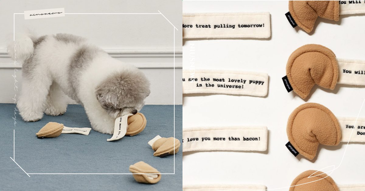 屬於寵物的幸運餅乾！狗奴瘋搶整套藏食玩具，內有超萌籤詩：我愛你勝過培根！ 寵物吃什麼、狗狗、寵物用品、寵物、療癒小物、幸運餅乾、寵物玩具、藏食玩具、寵物用品推薦