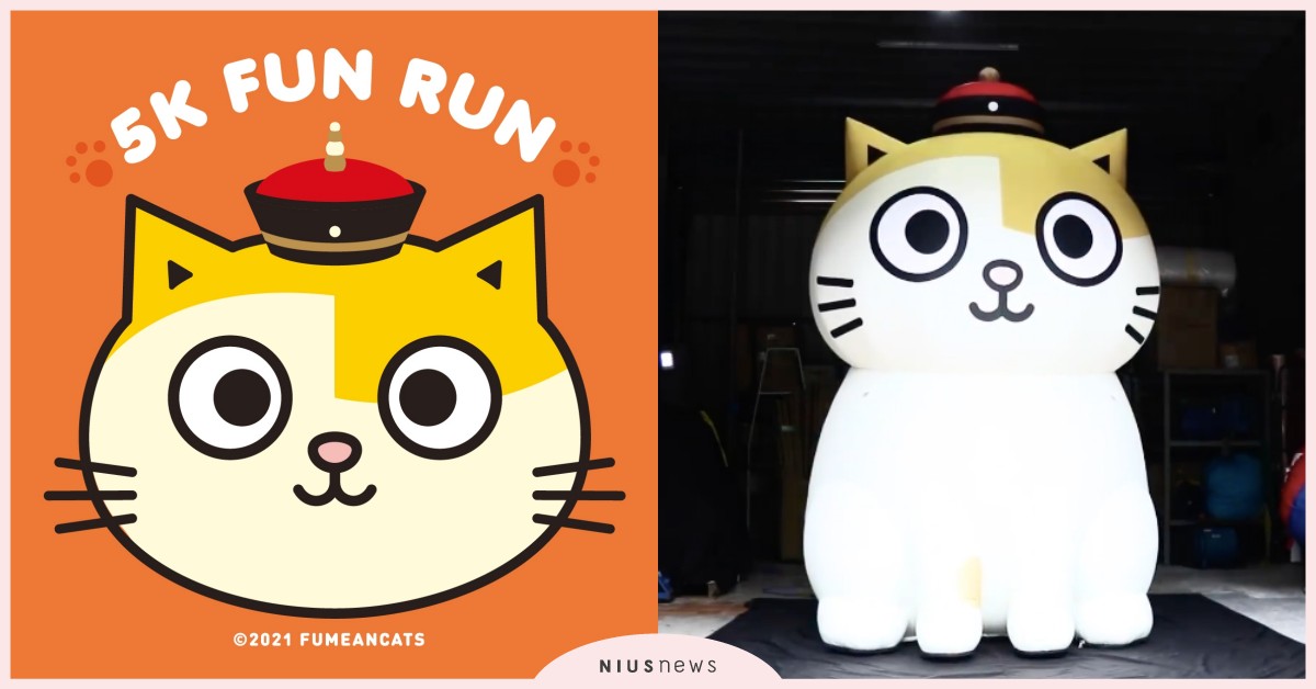 「黃阿瑪終於出門了要跑不跑路跑」紀念商店登場！三公尺阿瑪和後宮8隻貓咪氣偶進駐 黃阿瑪的後宮生活、路跑、要跑不跑的路跑、狸貓、志銘、貓咪、YouTuber、領養不棄養