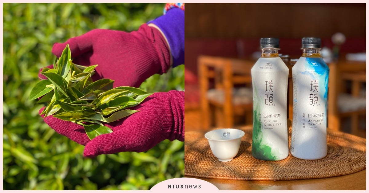 一日茶農體驗！直擊最美文青茶「璞韻」南投茶廠，數字「1016」是茶好喝的關鍵！ 璞韻、四季青茶、日本煎茶、春季一番茶、台灣春冬茶、10小時16分靜置引香、京都石臼低溫慢磨抹茶、獨特凝香封藏工法