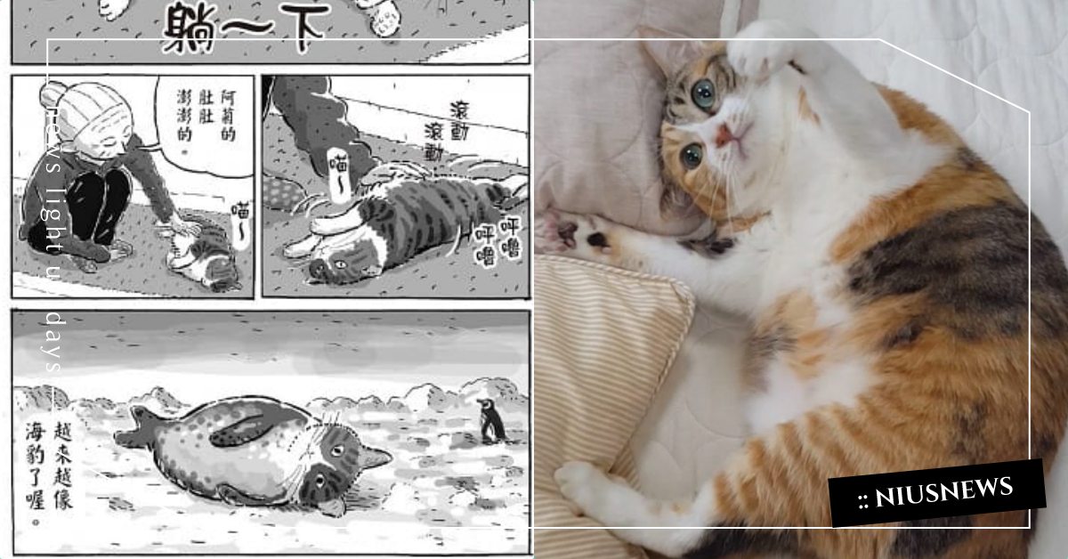 再吃下去會變海豹喔！日本推特療癒漫畫《爺爺奶奶與阿菊貓》爆紅，貓奴：跟我家的一樣 寵物趣聞、 毛孩、貓咪、寵物、貓貓