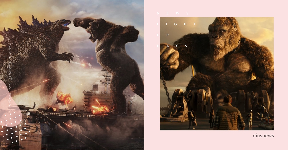《哥吉拉大戰金剛》5個趣聞！哥吉拉是配角、金剛「太小隻」暴風增高3倍！ 哥吉拉大戰金剛、電影、金剛、哥吉拉、怪獸、電影趣聞