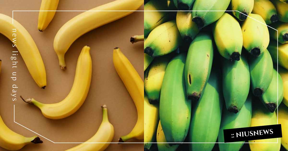 吃香蕉助減肥是真的嗎？營養師：選擇這個顏色香蕉，抗性澱粉多容易有飽足感 減重、健康、香蕉、營養師、澱粉