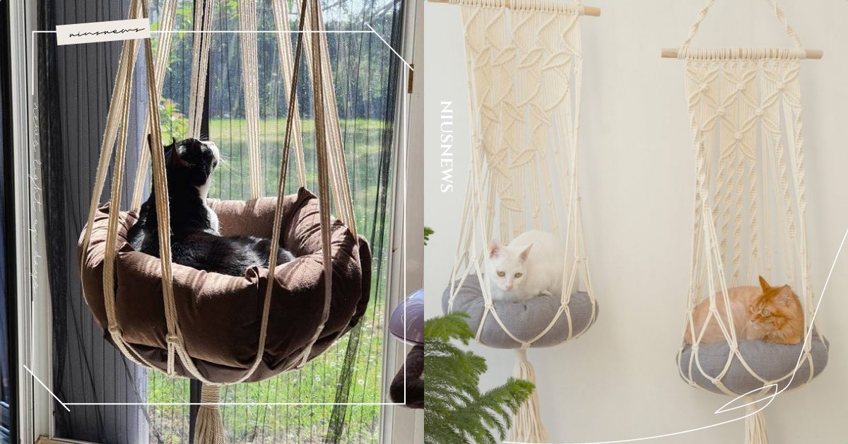 漂浮貓貓好療癒！「波西米亞風吊床」引發貓奴瘋狂下單客製，放不下貓跳台可以試這個！ 寵物、貓咪、居家配飾、傢俱、貓跳台