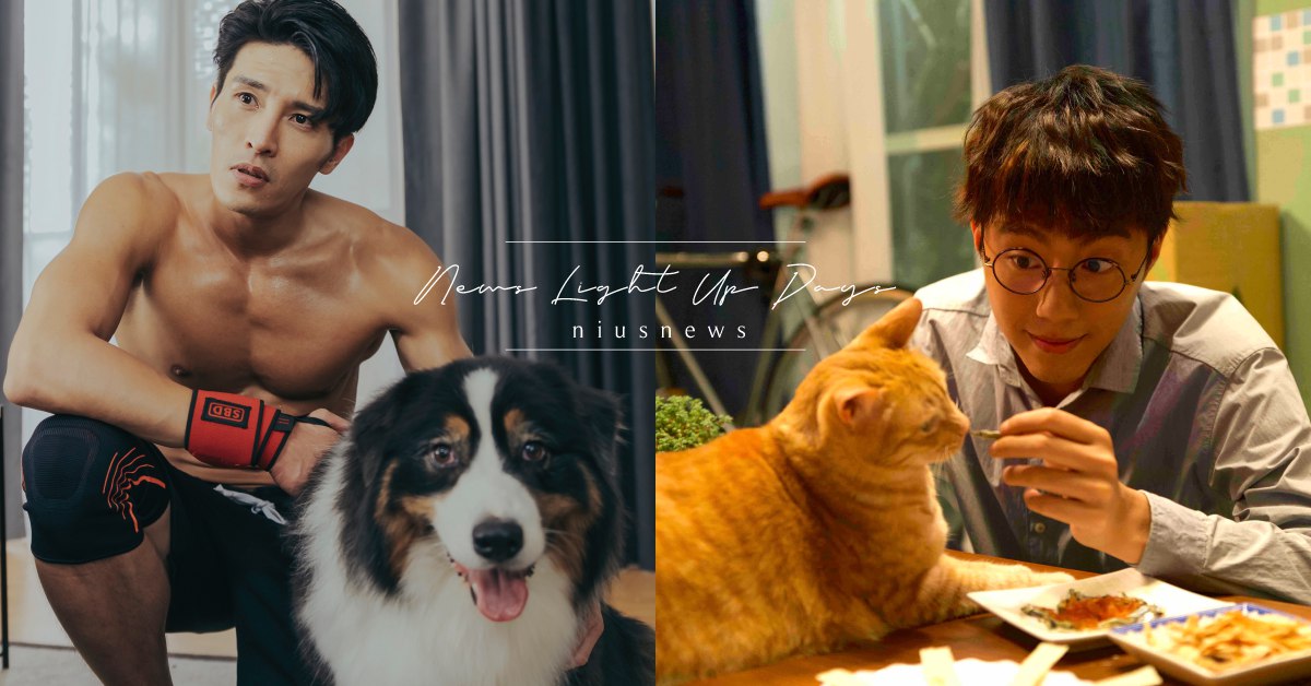 台劇《都嘛是你的毛》4大看點！劇情引毛孩爸媽共鳴，最愛送小動物超困擾！ 台劇、都嘛是你的毛、寵物溝通、毛孩、蔡凡熙