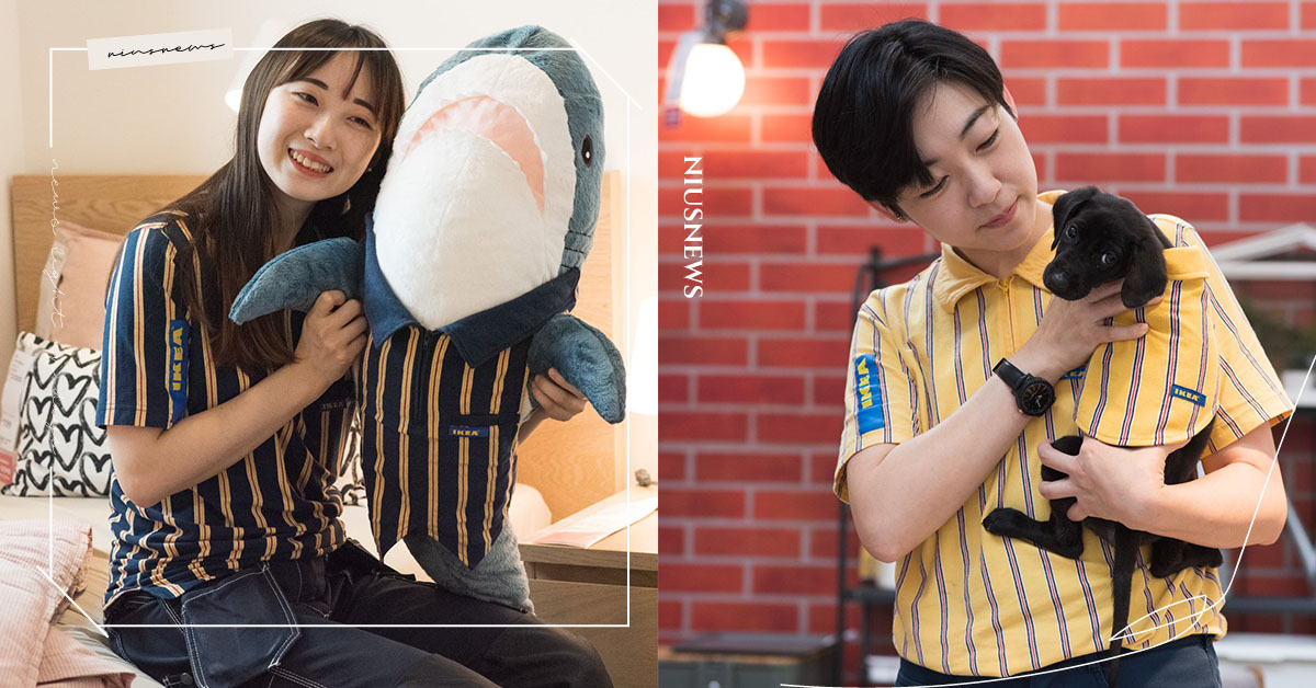 讓鯊鯊、寵物一秒穿上制服變身IKEA員工！超可愛制服數量有限，只有這方法才能獲得 IKEA、環保、新店店、寵物、制服、清明連假