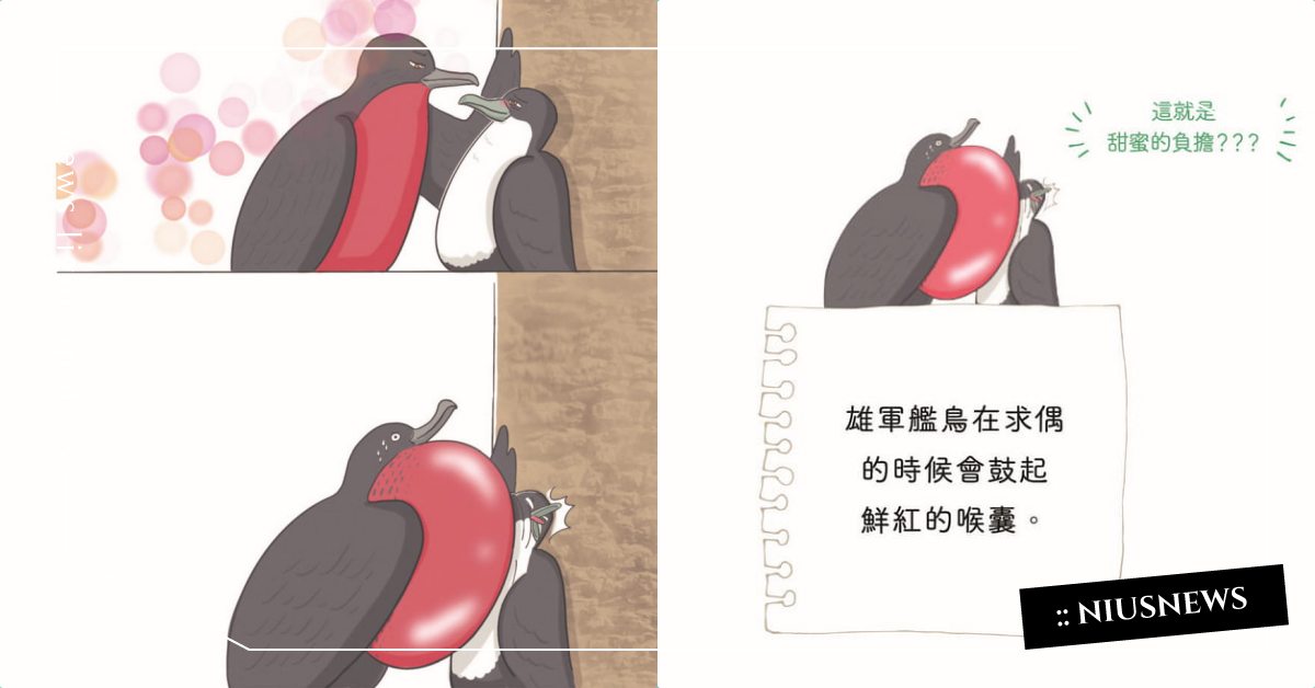 關於動物的5個冷知識！分組報告最會裝死的雷隊友負鼠、總是靠老婆捕獵的貓科是誰？ 動物園、可愛寵物、書摘、寵物知識、療癒書單、動物書單