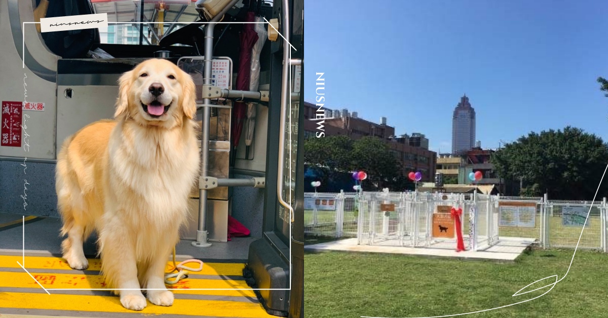 台北市14條週末寵物公車路線！狗狗「免進籠」上公車還能直達寵物公園 可愛動物、寵物、寵物公園、寵物公車、公車、公車路線、假日、旅遊、原則