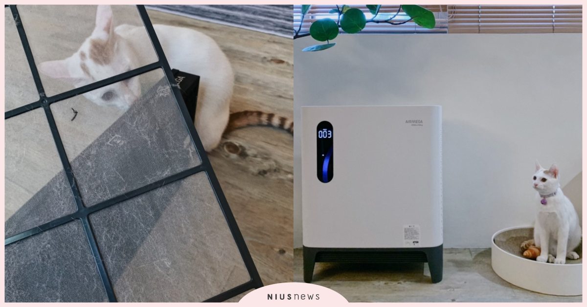 PM2.5也會影響貓貓？動物行為治療師戴更基：室內的空氣污染比室外更嚴重！ 寵物健康、寵物知識、寵物行為、寵物症狀、寵物醫療、動物行為治療師戴更基、戴更基醫師、空污、PM2.5